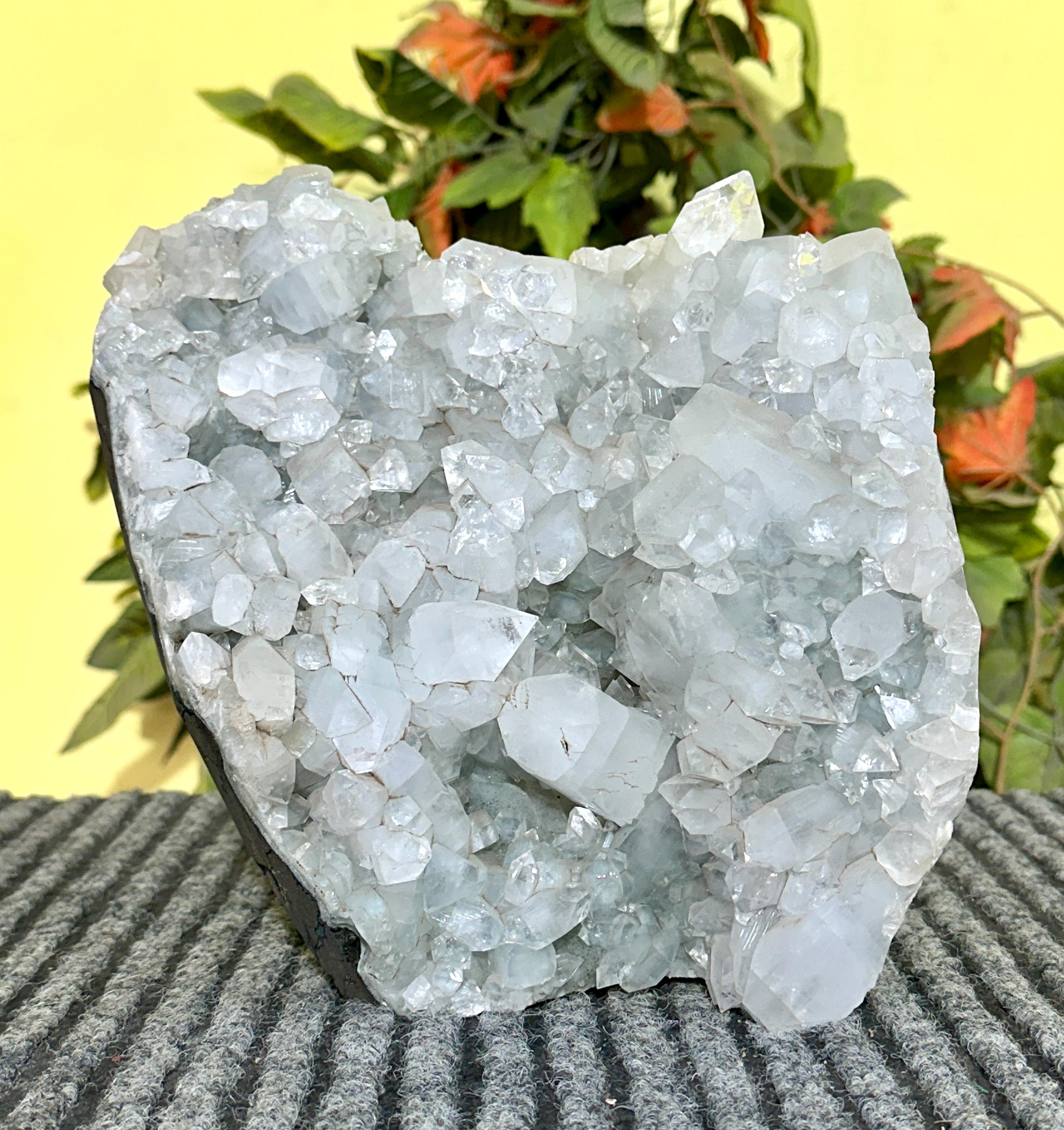 Large 205mm Clear Diamond Apophyllite Cluster: Self Standing Decor Geode