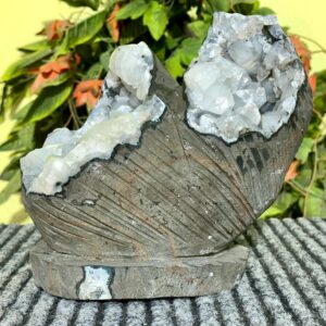 Clear diamond Apophyllite Cluster | Natural Specimen | Stone Cave Clear diamond Apophyllite Cluster | Natural Specimen | Stone Cave