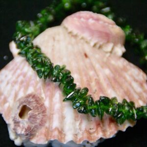 Triple 'v": Vibrant, Vivacious, Verdurous - Chrome Diopside Bracelet (1d)
