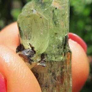 Double Terminated Merelani Diopside Crystal . 29.45 Crt.