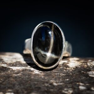 Black Star Diopside Sterling Silver Ring, Size 7-8