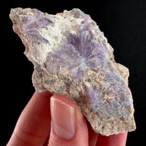 Purple Dumortierite (california, Usa) , Rare Mineral Specimen Purple Dumortierite (california, Usa) , Rare Mineral Specimen