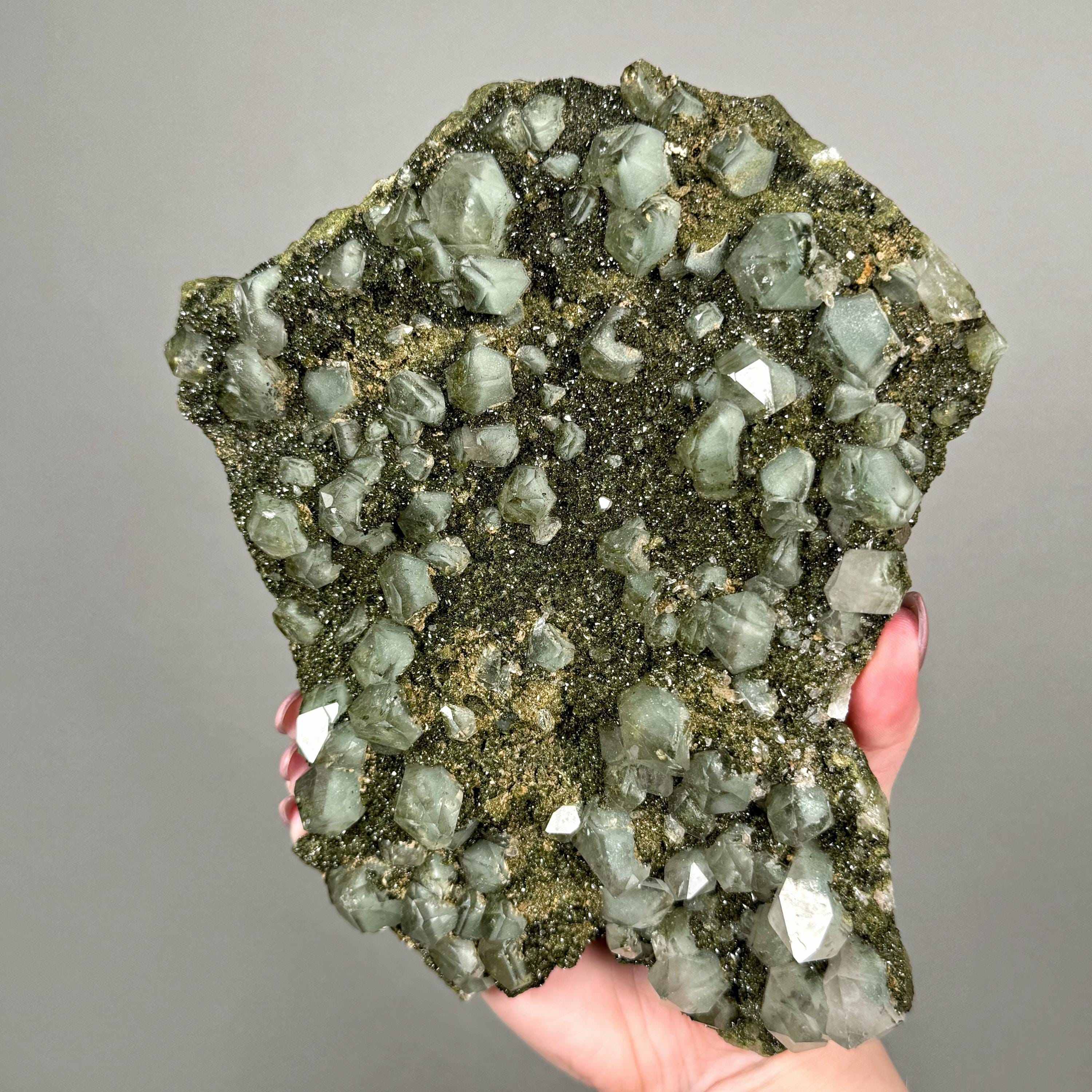 Fairy Forest Epidote On Quartz | 1135g | - #s44 (raw Green Crystal Specimen, Heart Chakra, Love)