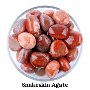 Snakeskin Fire Agate Tumbled Stone, Polished Scale Texture, Altar Ritual Healing Gem