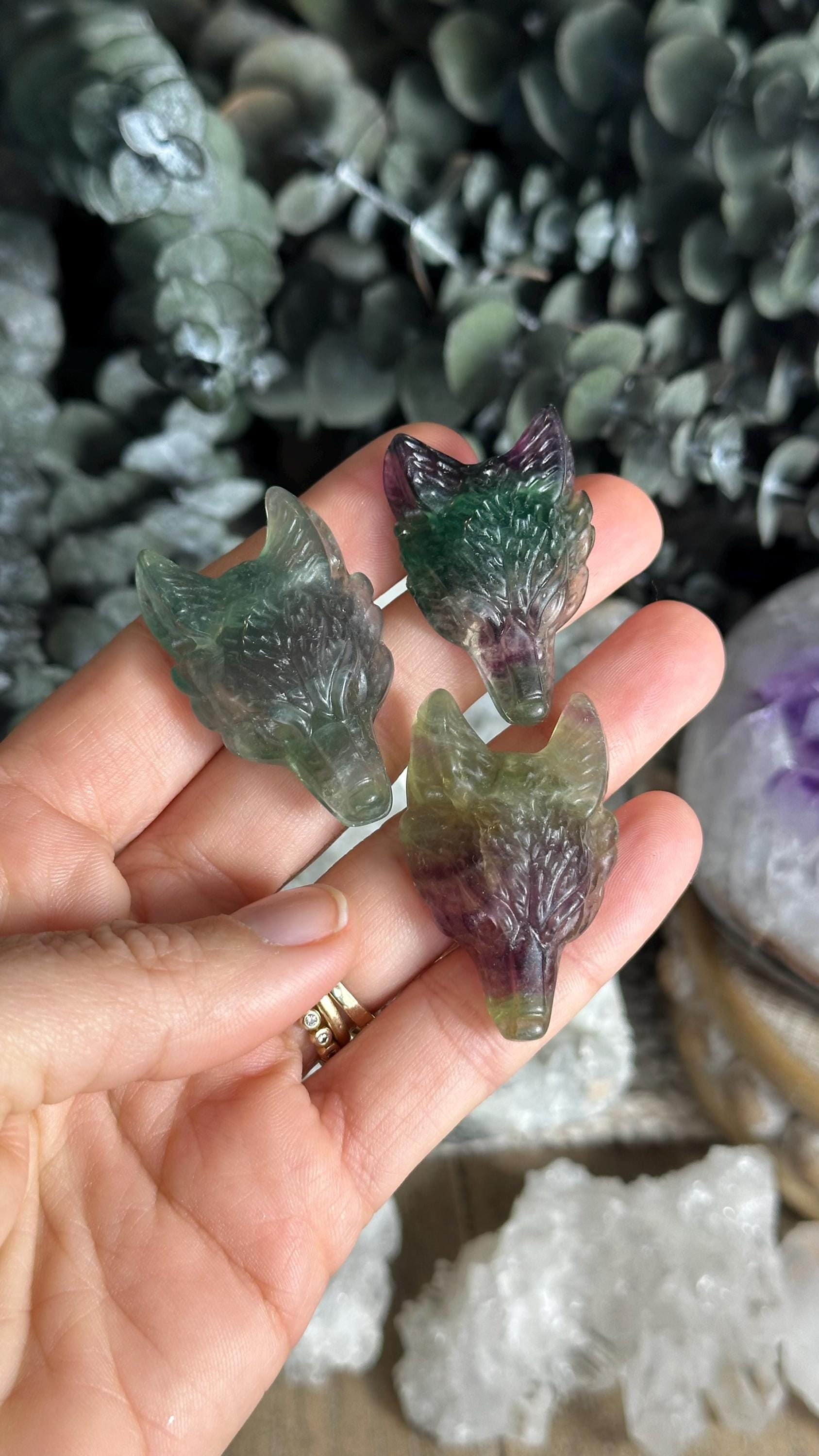 Fluorite Wolf Crystal. Drilled Pendant, Wolf Bead