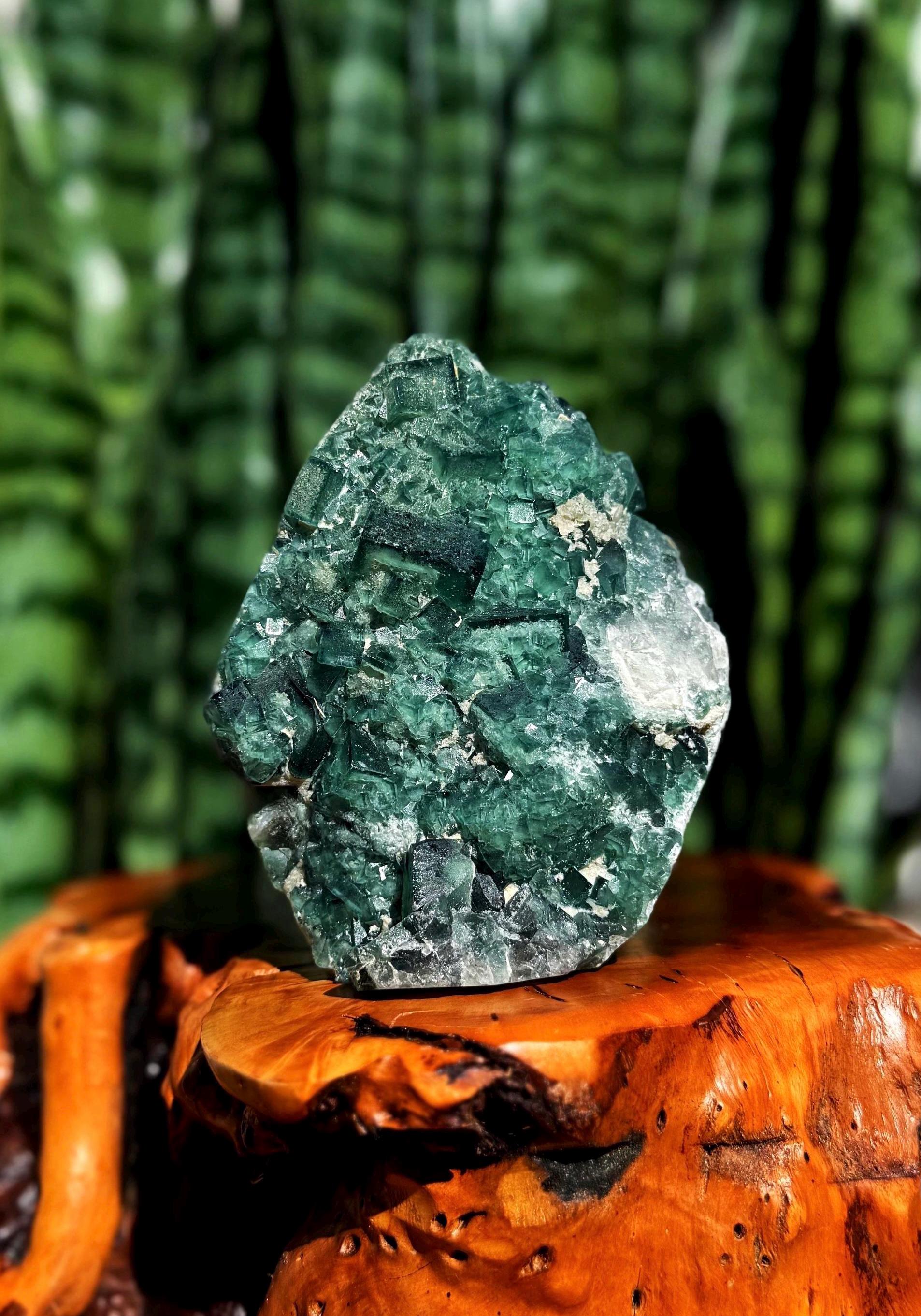 Green Fluorite Geode - Cubic Fluorite Crystal Green Fluorite Geode - Cubic Fluorite Crystal