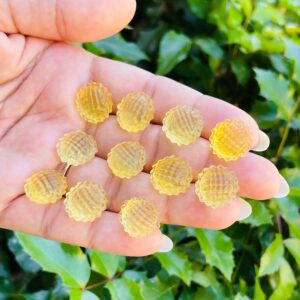 Yellow Fluorite Crystal Sunflower: Carved Gemstone (14-16 Mm)