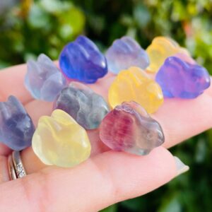 Fluorite Bunny: Carved Tumbled Rainbow Crystal (10-15mm) Fluorite Bunny: Carved Tumbled Rainbow Crystal (10-15mm)