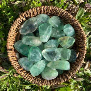 Green Fluorite Tumbled Stones - Large Polished Crystals 50/65MM