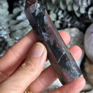 Garnet In Arfvedsonite Tower
