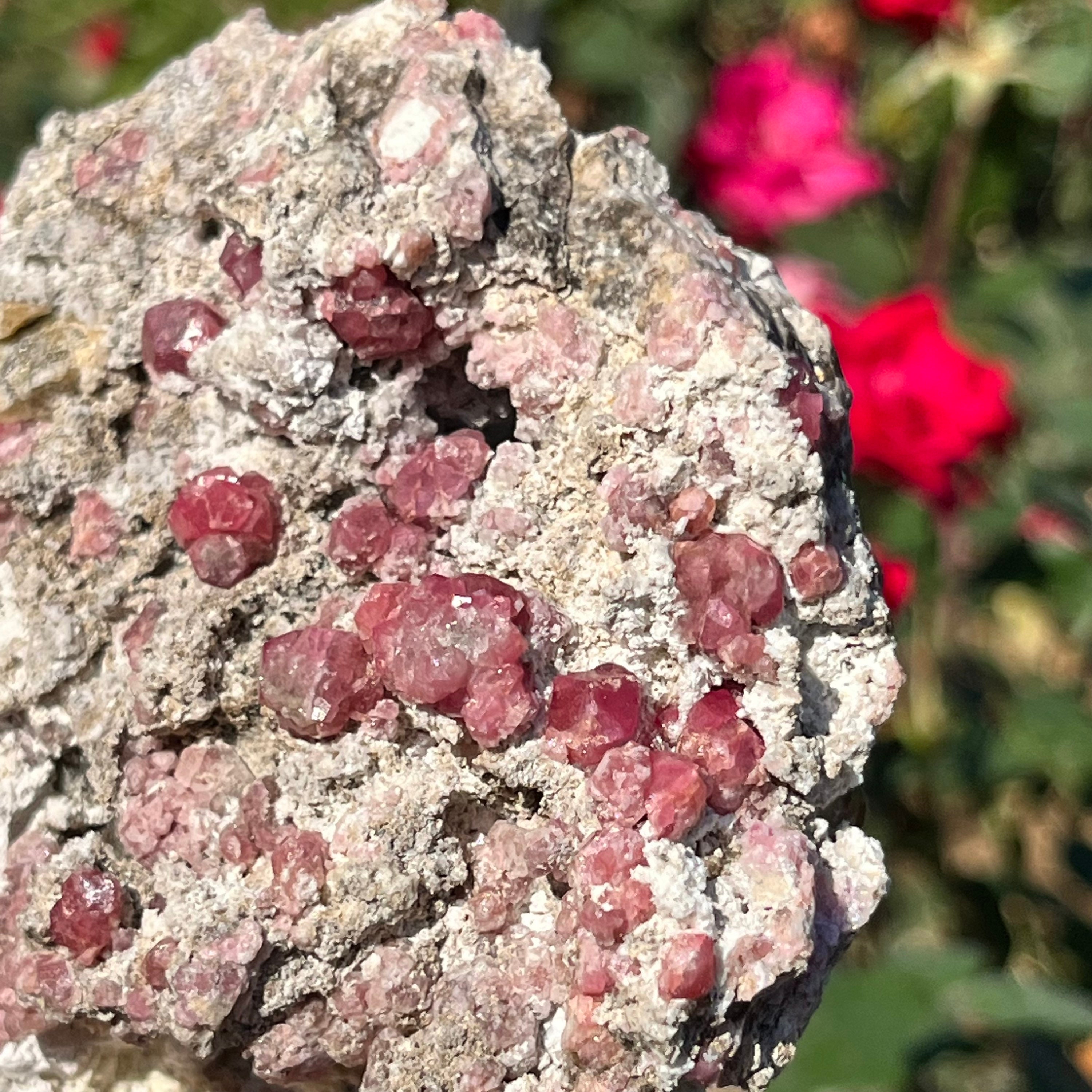 Rare Raspberry Garnet Var Grossular | Yellow Grossular Garnet Barite Rosalite Raw On Matrix Pink Garnet ~ Rg8 Rare Raspberry Garnet Var Grossular | Yellow Grossular Garnet Barite Rosalite Raw On Matrix Pink Garnet ~ Rg8