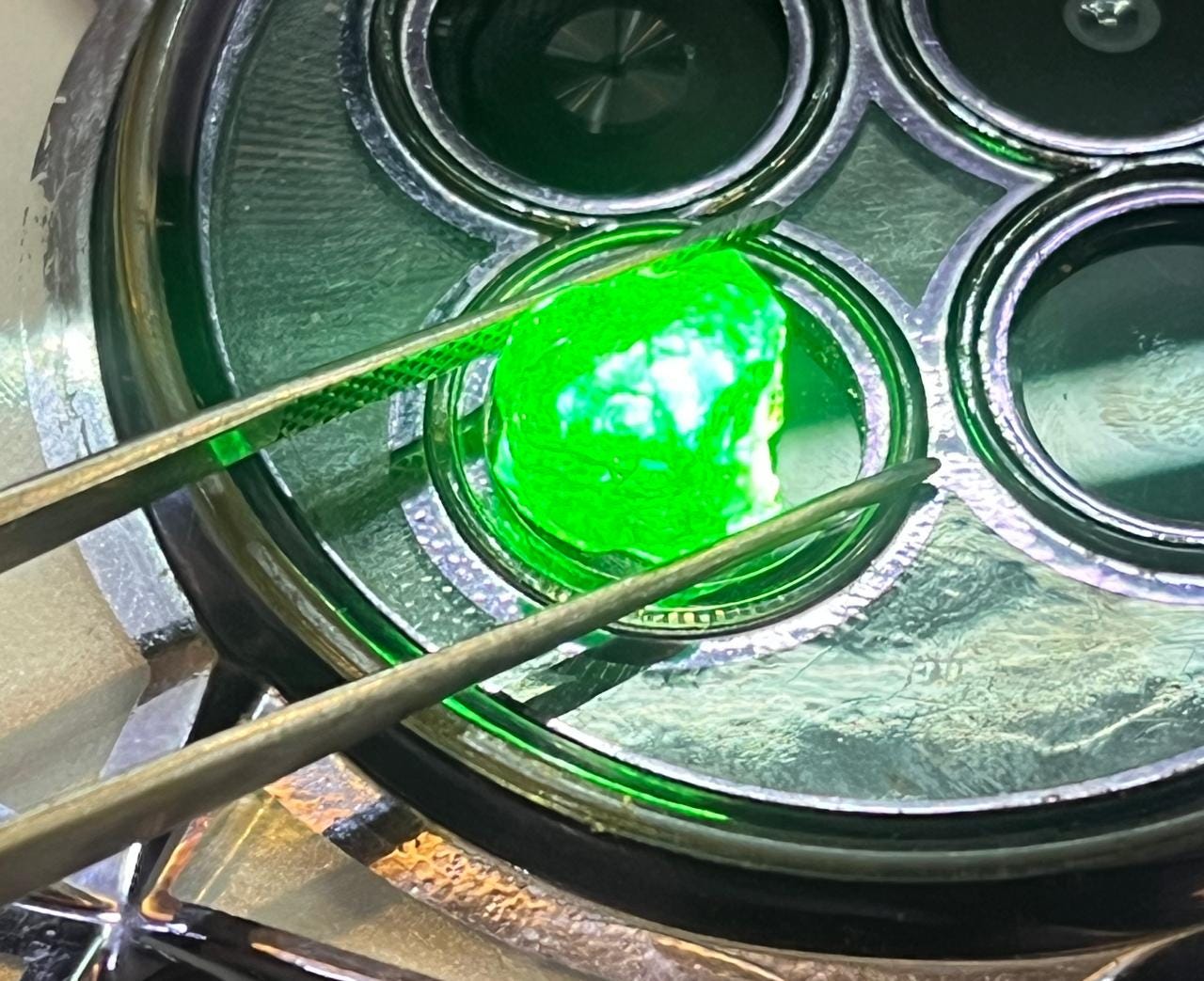 Raw Tsavorite Garnet Crystal _ Natural Tsavorite Grenet Roghf Gemstone Natural Raw Tsavorite Garnet Crystal For Healing Aaa