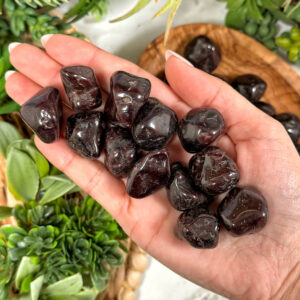Garnet Tumble | S, M, L | - No. 309 (polished Red Crystal Pocket Stone, Heart Chakra, Healing Stone)