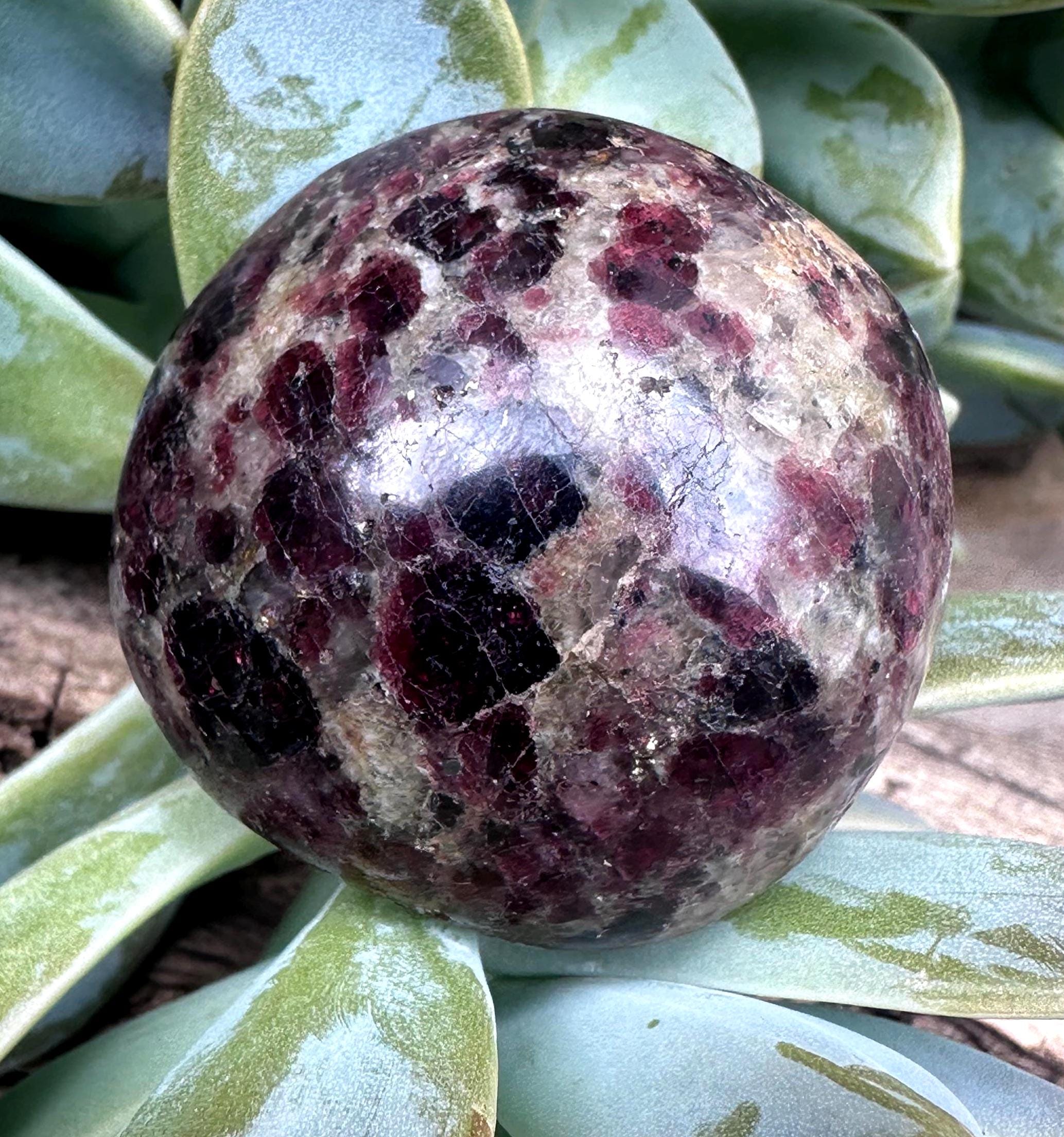 Garnet Palm Stone From Madagascar