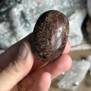 Garnet Palm Stone, Palmstone, Madagascar