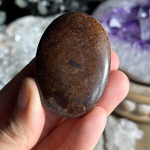 Garnet Palm Stone, Palmstone, Madagascar