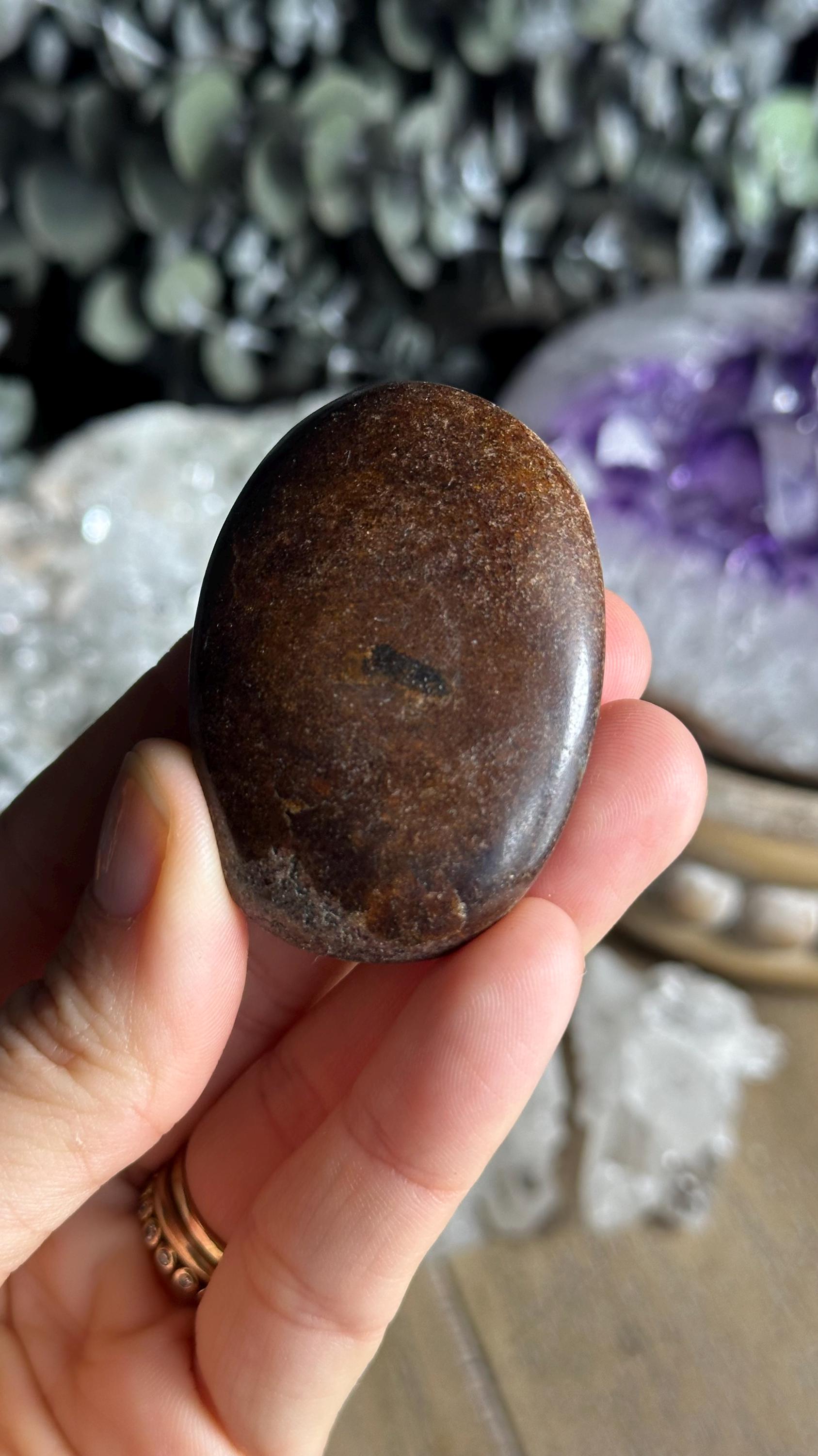 Garnet Palm Stone, Palmstone, Madagascar