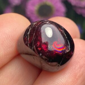 Garnet Crystal - Polished Garnet - Red Garnet - Tumbled Garnet - Garnet Crystal - Garnet Specimen - January Birthstone - Garnet Stone