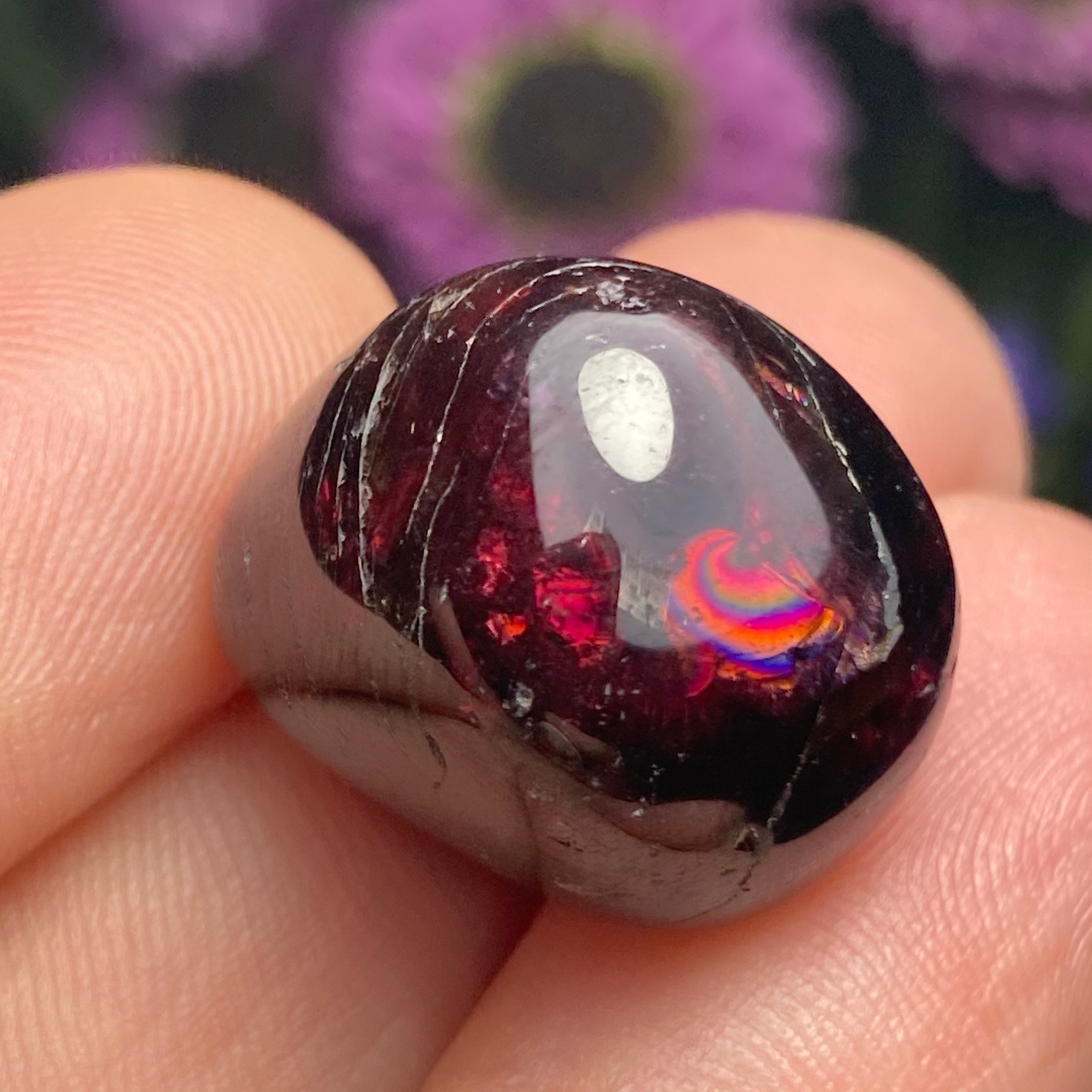 Garnet Crystal - Polished Garnet - Red Garnet - Tumbled Garnet - Garnet Crystal - Garnet Specimen - January Birthstone - Garnet Stone Garnet Crystal - Polished Garnet - Red Garnet - Tumbled Garnet - Garnet Crystal - Garnet Specimen - January Birthstone - Garnet Stone