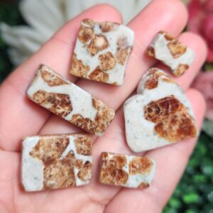 Hessonite Garnet - Garnet Crystal In Wollastonite - Garnet Crystal - Tumbled Garnet - Garnet In Matrix - Garnet Stone - Hessonite Garnet