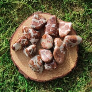 Garnet In Limestone Tumbled And Polished, Medium Garnet In Limestone Tumbled And Polished, Medium