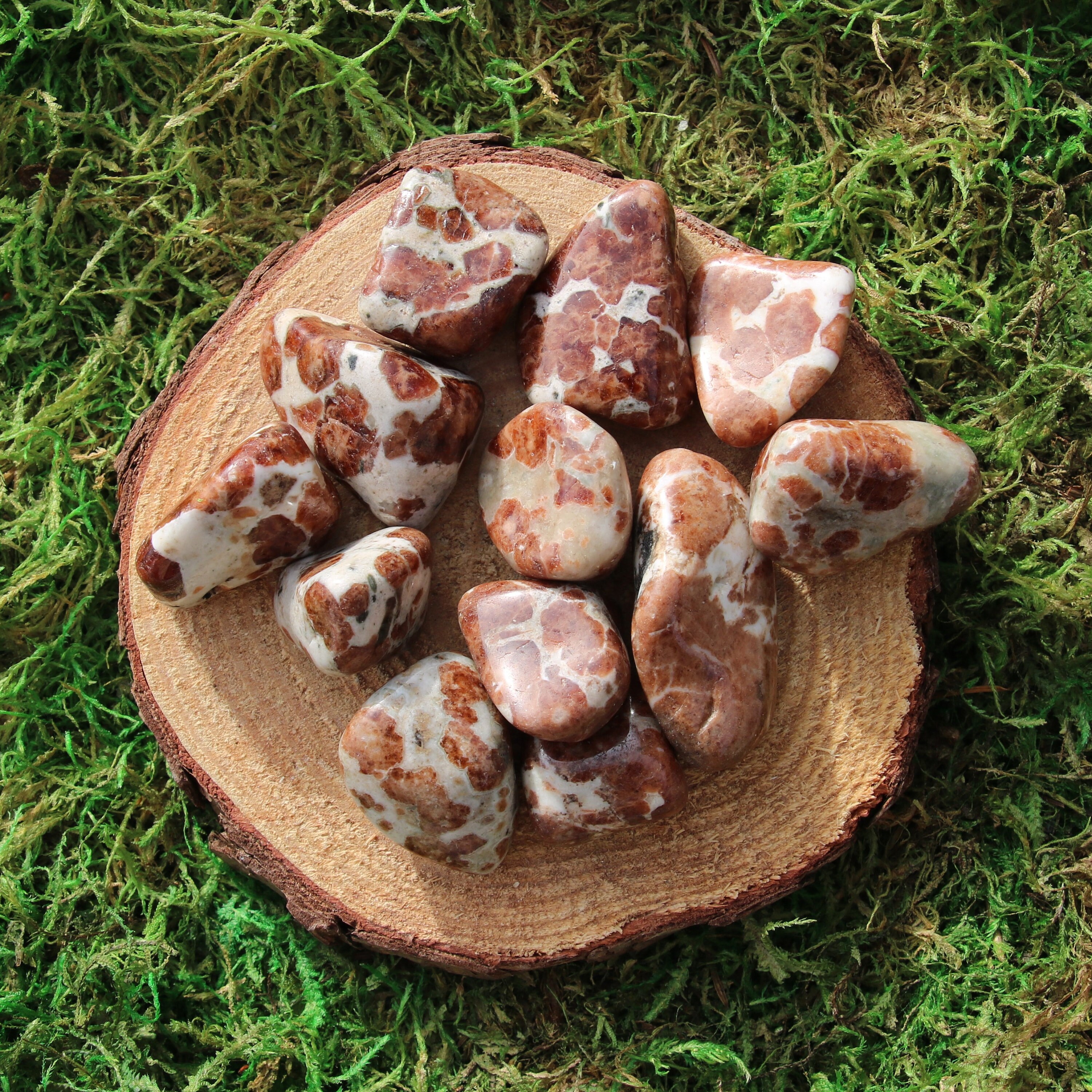 Garnet In Limestone Tumbled And Polished, Medium