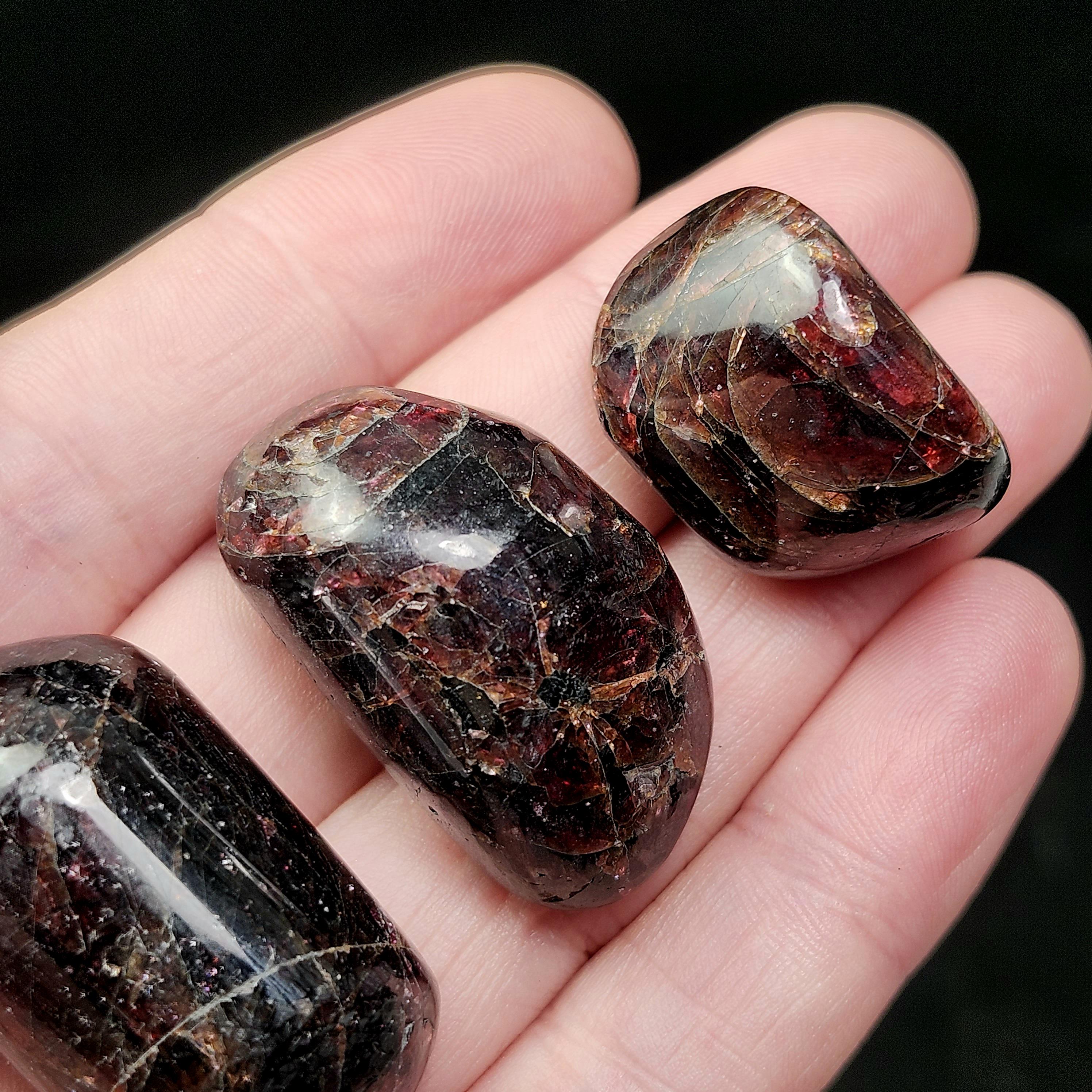 Polished Garnet Crystal - Tumbled Garnet Stone - Red Garnet Gemstones - Garnet Specimen
