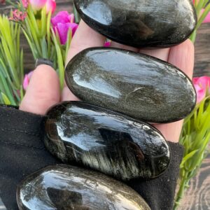 Gold Sheen Palm Stone, Gold Sheen Obsidian Gold Sheen Palm Stone, Gold Sheen Obsidian
