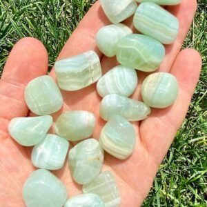 Green Calcite Grade A Tumbled Stone - Tumbled Grade A Green Calcite Crystal - Multiple Sizes Available - Polished Green Calcite Gemstone