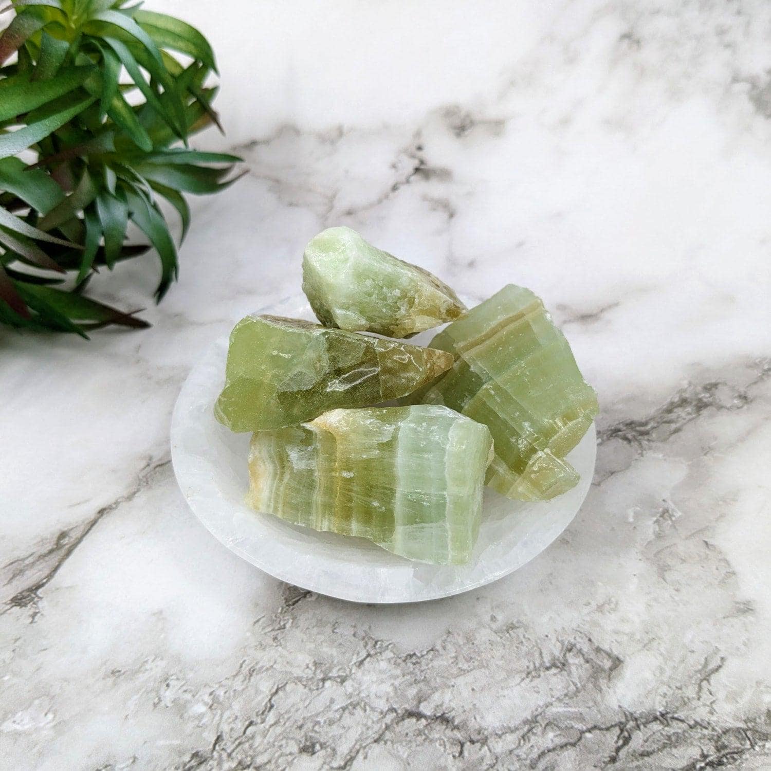 Pistachio Green Calcite 1.8 - 1.9" Rough 1lb Bulk Lot #lv4095