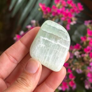 Caribbean Calcite Palm Stone, Pistachio Calcite
