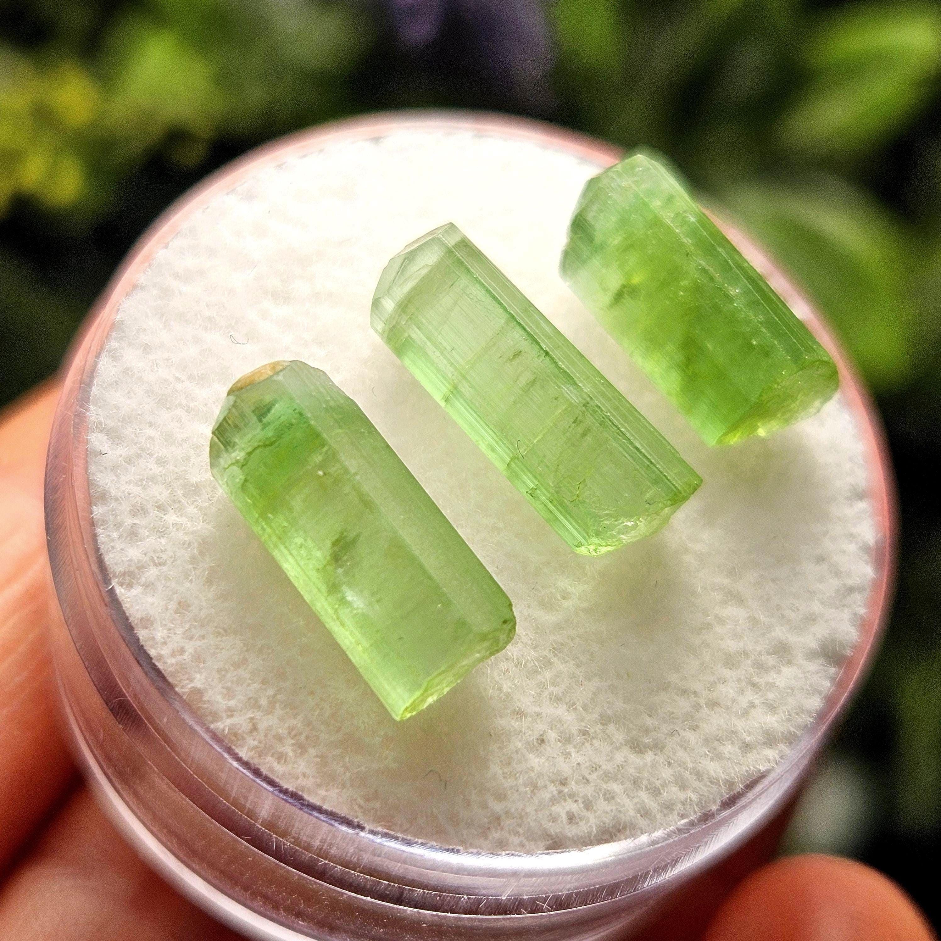 Green Tourmaline Crystal, Terminated Apple Green Gemstone Specimen