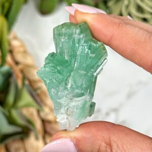 Green Tourmaline | 24g | - #1 (raw Crystal Specimen, Heart Chakra, Healing Stone, Love) Green Tourmaline | 24g | - #1 (raw Crystal Specimen, Heart Chakra, Healing Stone, Love)