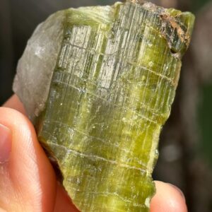 Rare Raw Green Tourmaline Crystal Stone/Rough Green Tourmaline Specimen/Collection/Meditation/Healing/Crystal Grid-73 g Rare Raw Green Tourmaline Crystal Stone/Rough Green Tourmaline Specimen/Collection/Meditation/Healing/Crystal Grid-73 g
