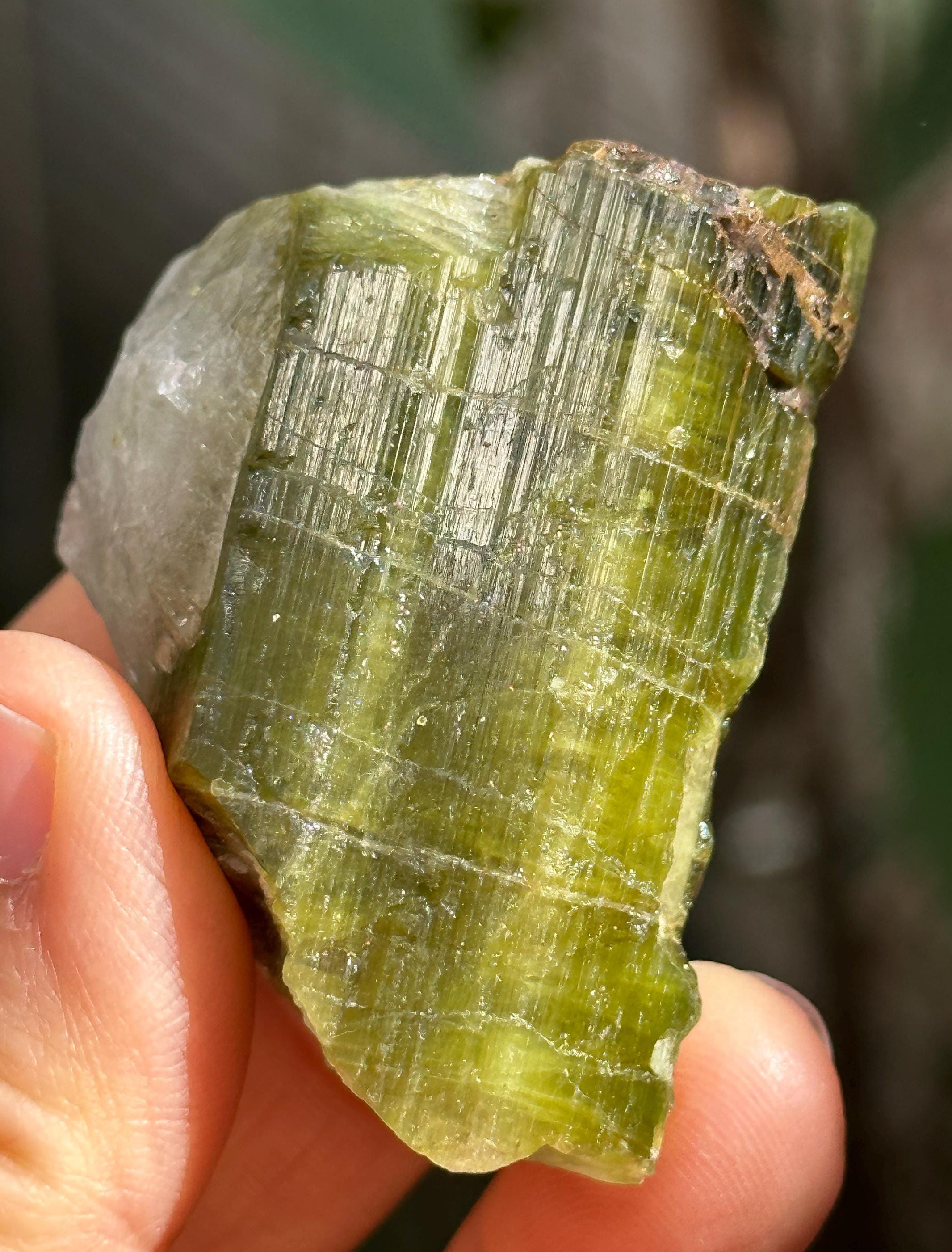 Rare Raw Green Tourmaline Crystal Stone/rough Green Tourmaline Specimen/collection/meditation/healing/crystal Grid-73 G