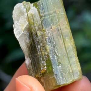 Rare Raw Green Tourmaline Crystal Stone/Rough Green Tourmaline Specimen/Collection/Meditation/Healing/Crystal Grid-61 g Rare Raw Green Tourmaline Crystal Stone/Rough Green Tourmaline Specimen/Collection/Meditation/Healing/Crystal Grid-61 g