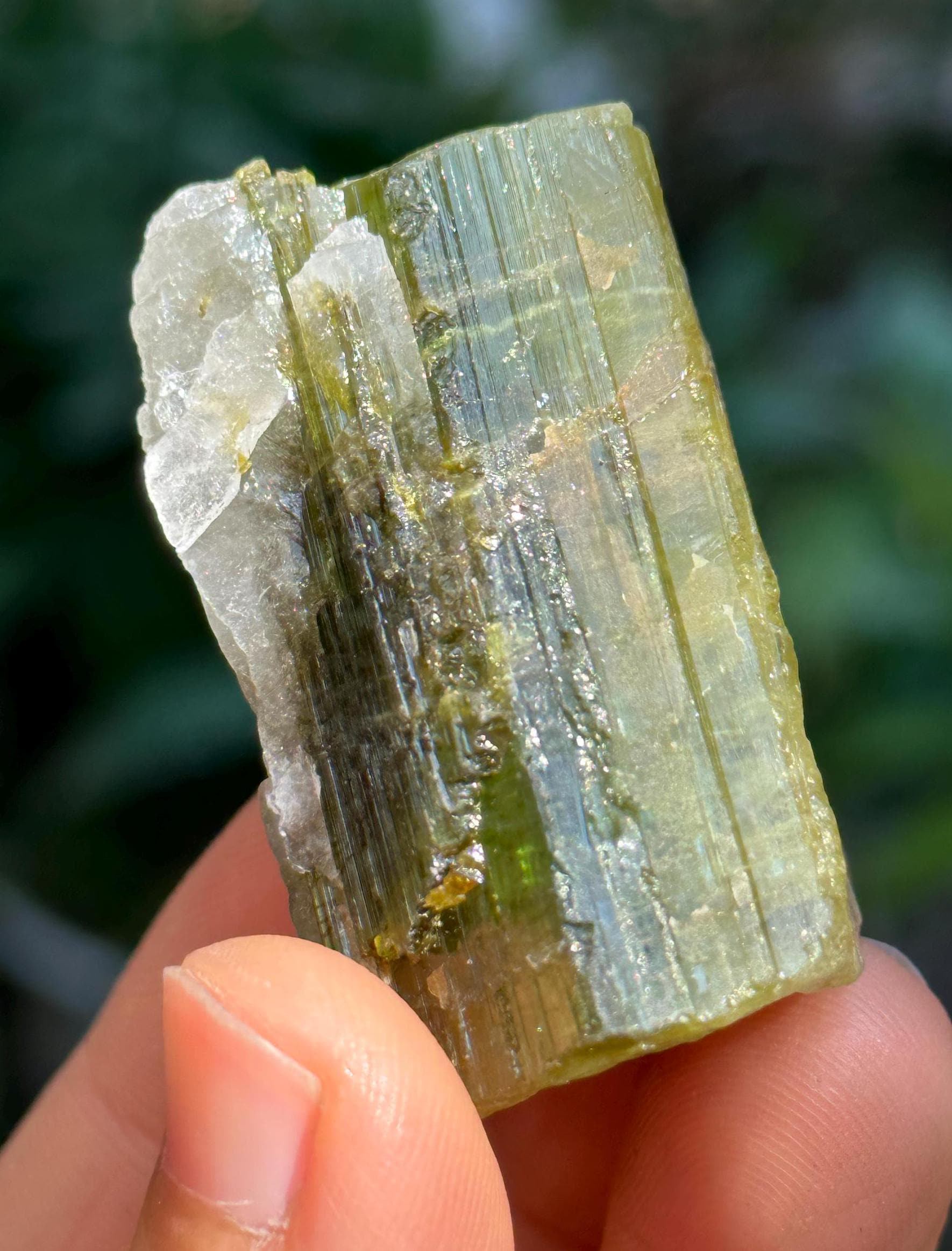 Rare Raw Green Tourmaline Crystal Stone/rough Green Tourmaline Specimen/collection/meditation/healing/crystal Grid-61 G