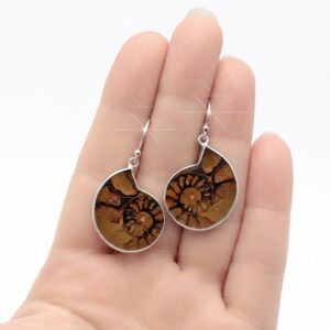 A Moment In Time - Beautiful Morrocan Hematite Ammonite Fossil Sterling Silver Earrings