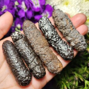 Egyptian Hematite Pseudomorph Crystal, Stick Shaped Specimens