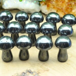 Natural Hematite Mooshroom,hand Carved Mushroom,reiki Healing Crystal,mini Mooshroom Decor,home Decor,for Her Gift,gift Mystery Bag.
