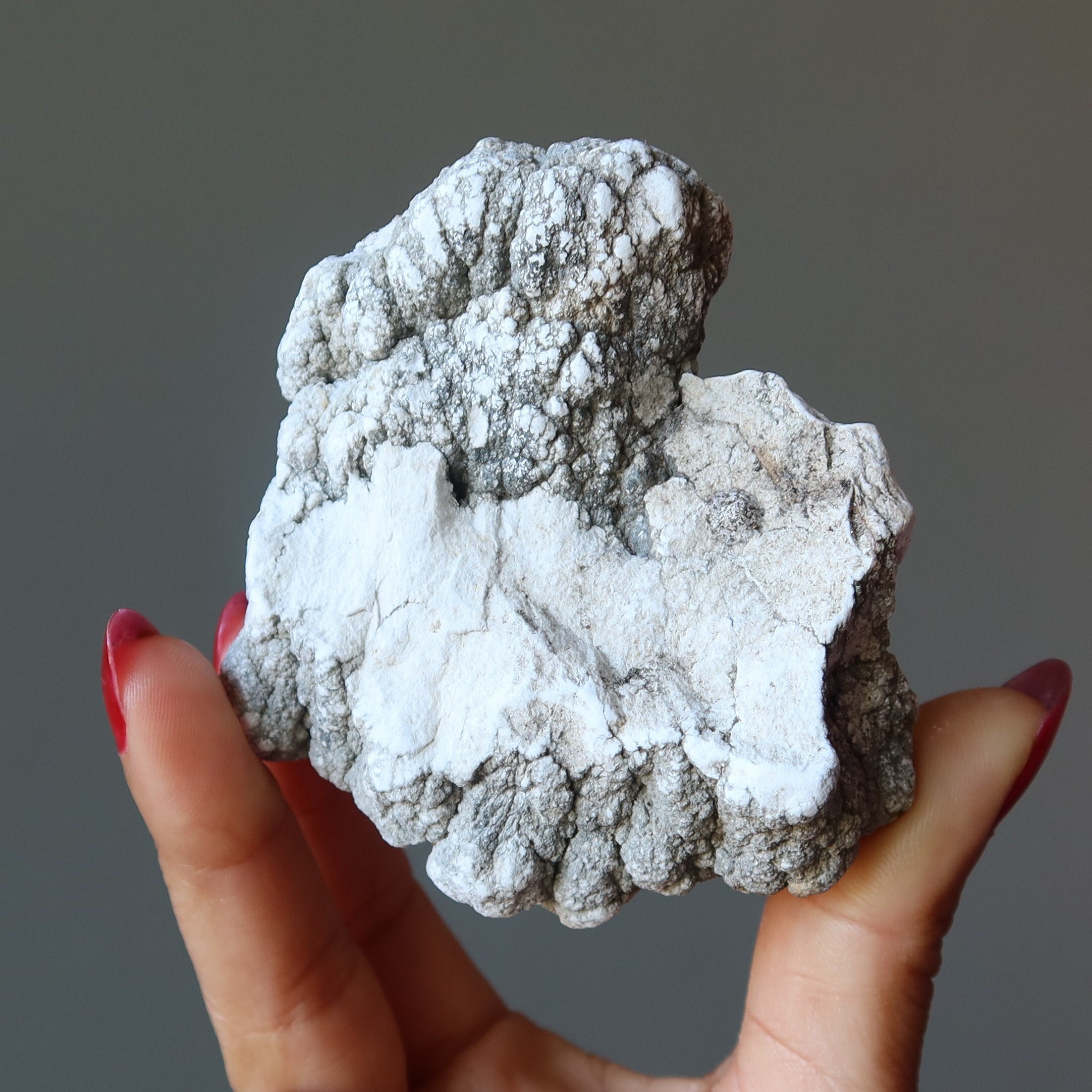 Howlite Raw Crystal Brainiac Smart New Start White Rock