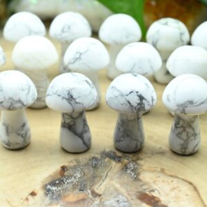 Natural Howlite Mooshroom,hand Carved Mushroom,reiki Healing Crystal,mini Mooshroom Decor,home Decor,for Her Gift,gift Mystery Bag.