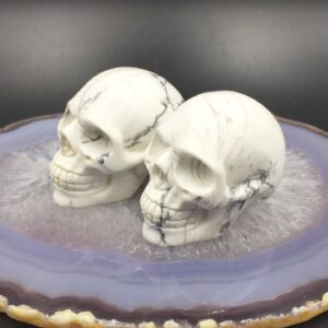 Natural Howlite Skull Realistic Gemstone Skull Carving Skull Crystal Skull White Howlite Stone Skull Decor Skull Sculpture SK-WH