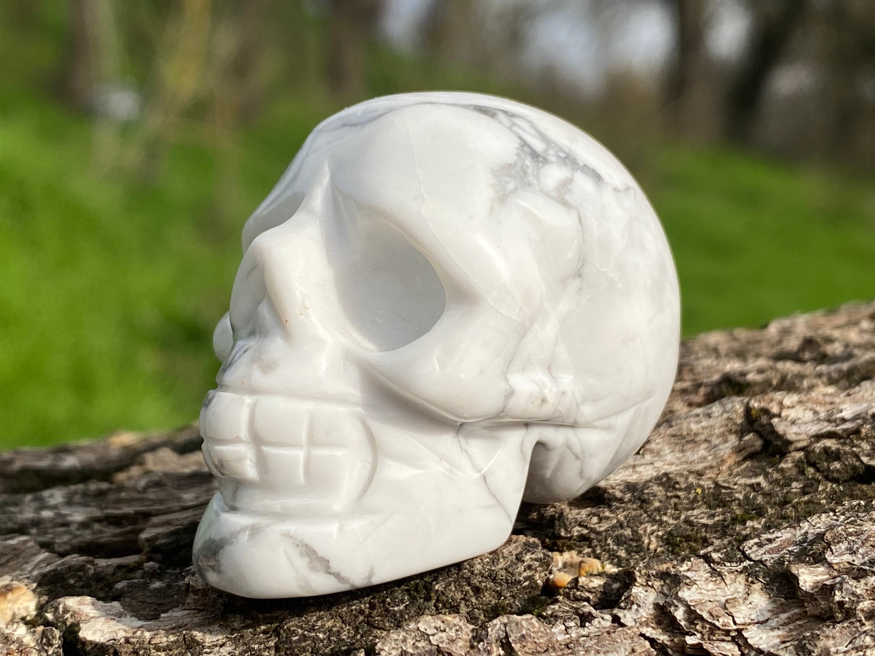 Polished White Howlite Skull, Natural Carved Crystal Stone (2” 74g) Polished White Howlite Skull, Natural Carved Crystal Stone (2” 74g)