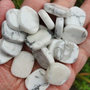White Howlite Crystal Coins, 1 Inch Howlite Stones, Calming Pocket Stones, White Howlite Palm Stones, Crown Chakra Crystals, Gift for her