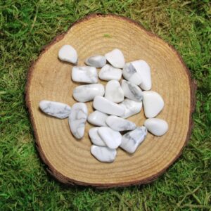Howlite 2 Piece Small Of Medium Tumbled*