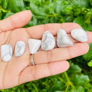 Howlite Crystal: 3 Small Tumbled Stones (20-30 mm)