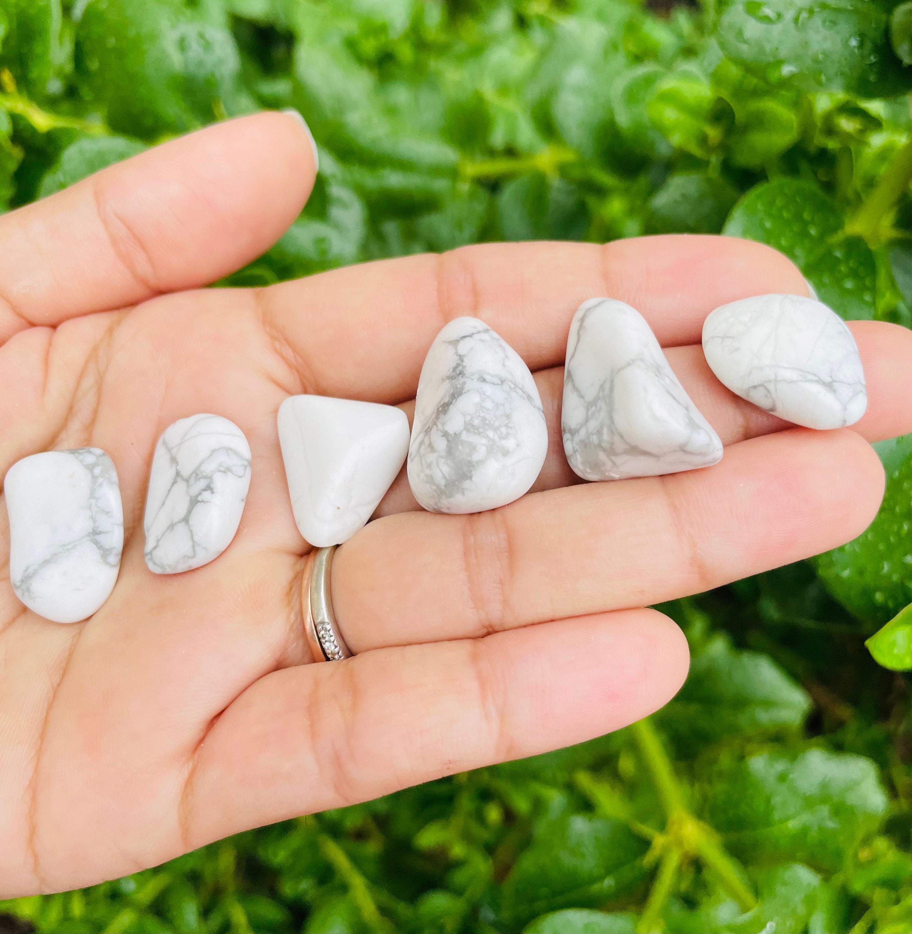 Howlite Crystal: 3 Small Tumbled Stones (20-30 Mm)