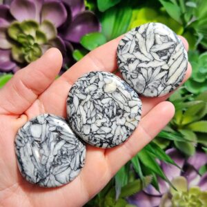 Pinolith Crystal - Tumbled Pinolite - Magnesite "pine Nut" Crystal - Howlite - Dolomite - Graphite