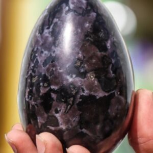 Indigo Gabbro Egg: Natural Merlinite Crystal, Gothic Home Decor Indigo Gabbro Egg: Natural Merlinite Crystal, Gothic Home Decor